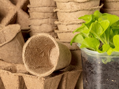 Degradable flower pot